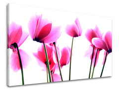 Ζωγραφική τοίχου FLOWERS XOBKV129E11