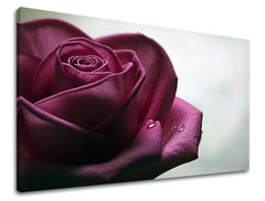 Ζωγραφική τοίχου FLOWERS OF ROSES XOBKV130E11