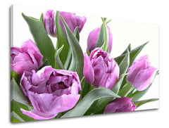 Ζωγραφική τοίχου ΛΟΥΛΟΥΔΙΑ TULIPANS XOBKV131E11