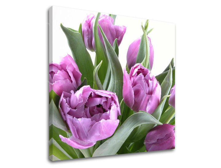 Ζωγραφική τοίχου FLOWERS XOBKV131E12