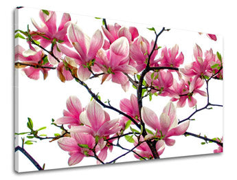 Ζωγραφική τοίχου FLOWERS XOBKV132E11