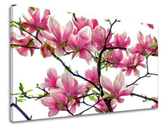 Ζωγραφική τοίχου FLOWERS XOBKV132E11
