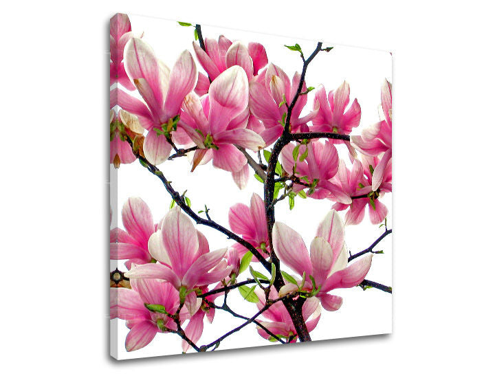 Ζωγραφική τοίχου FLOWERS XOBKV132E12