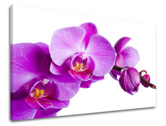 Ζωγραφική τοίχου FLOWERS XOBKV135E11