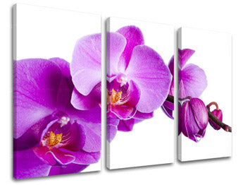 Τοιχογραφία 3 τμημάτων FLOWERS XOBKV135E30