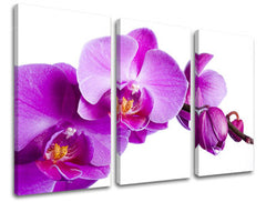 Τοιχογραφία 3 τμημάτων FLOWERS XOBKV135E30