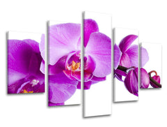 Ζωγραφική τοίχου 5 τμημάτων FLOWERS XOBKV135E50