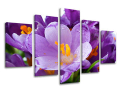 Ζωγραφική τοίχου 5 τμημάτων FLOWERS XOBKV137E50