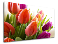 Ζωγραφική τοίχου FLOWERS TULIPANS XOBKV138E11