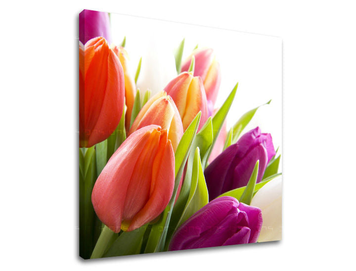 Ζωγραφική τοίχου FLOWERS XOBKV138E12