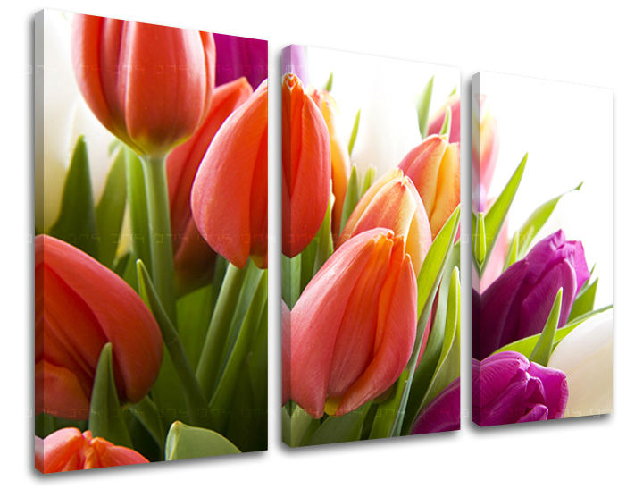 Τοιχογραφία 3 τμημάτων FLOWERS XOBKV138E30