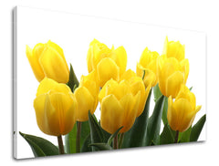 Ζωγραφική τοίχου FLOWERS TULIPANS XOBKV141E11