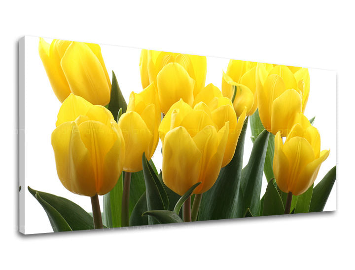 Ζωγραφική τοίχου Πανόραμα FLOWERS XOBKV141E13