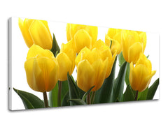 Ζωγραφική τοίχου Πανόραμα FLOWERS XOBKV141E13