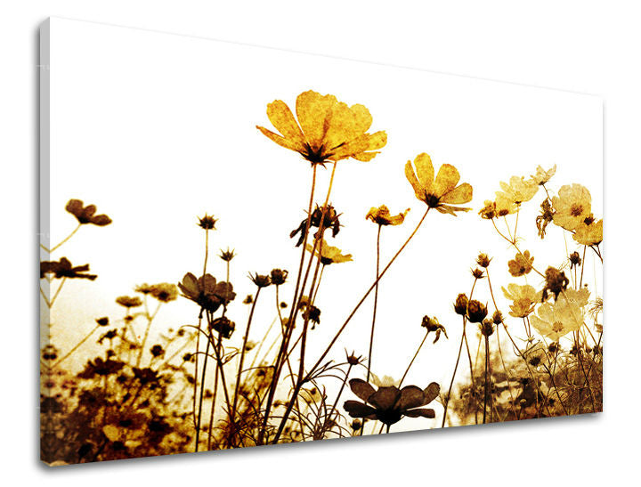 Ζωγραφική τοίχου FLOWERS XOBKV143E11