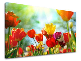 Ζωγραφική τοίχου ΛΟΥΛΟΥΔΙΑ TULIPANS XOBKV145E11