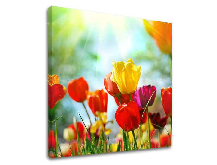 Ζωγραφική τοίχου FLOWERS XOBKV145E12