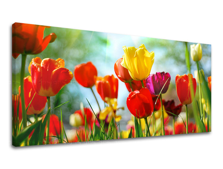 Ζωγραφική τοίχου Πανόραμα ΛΟΥΛΟΥΔΙΑ XOBKV145E13