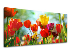 Ζωγραφική τοίχου Πανόραμα ΛΟΥΛΟΥΔΙΑ XOBKV145E13