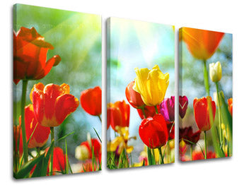 Τοιχογραφία 3 τμημάτων FLOWERS XOBKV145E30