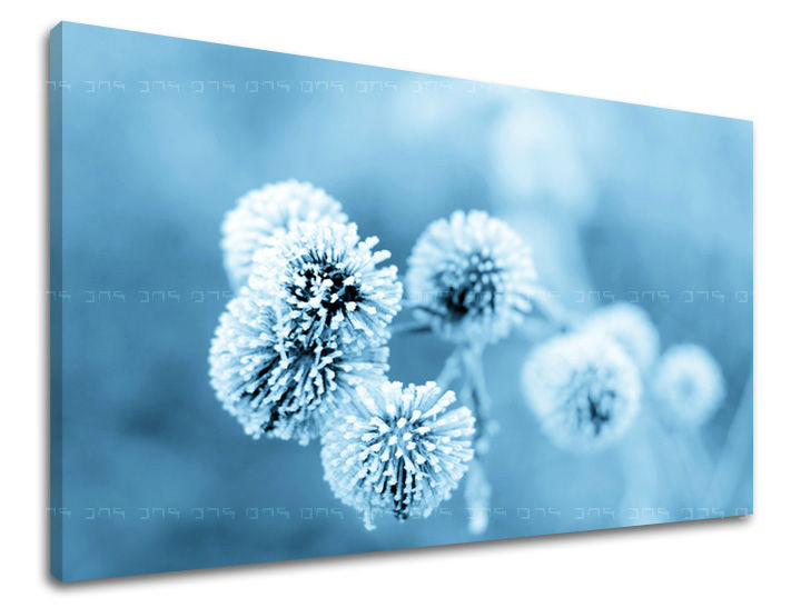 Ζωγραφική τοίχου FLOWERS PAUSE XOBKV147E11