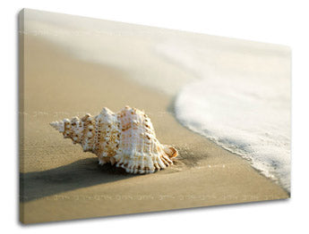 Ζωγραφική τοίχου BEACH PL006E11