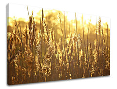 Ζωγραφική τοίχου RASTLINY RA005E11