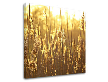 Ζωγραφική τοίχου RASTLINY RA005E12