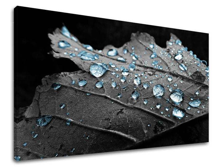 Ζωγραφική τοίχου RASTLINY RA006E11