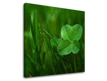 Ζωγραφική τοίχου RASTLINY RA008E12