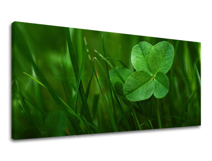 Ζωγραφική τοίχου PANORAMA PLANTS RA008E13