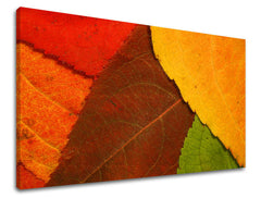 Ζωγραφική τοίχου RASTLINY RA012E11