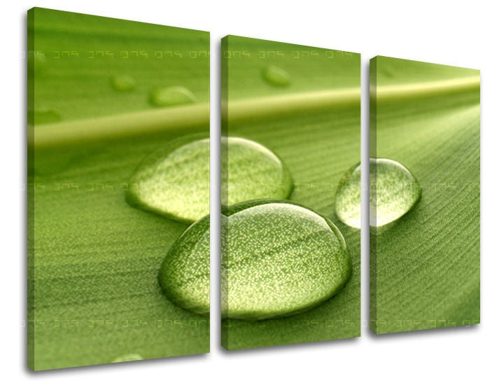 Βάψιμο τοίχου 3 μέρη RASTLINY