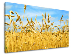 Ζωγραφική τοίχου RASTLINY RA015E11