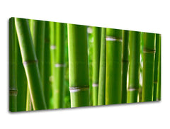 Ζωγραφική τοίχου PANORAMA PLANTS RA017E13