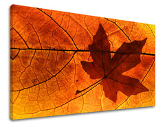 Ζωγραφική τοίχου RASTLINY RA018E11