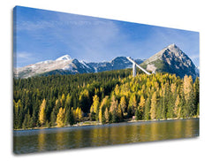 Ζωγραφική τοίχου SLOVAKIA SK004E11