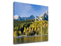 Ζωγραφική τοίχου SLOVAKIA SK004E12