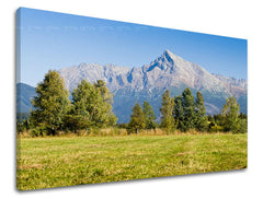 Ζωγραφική τοίχου SLOVAKIA SK006E11