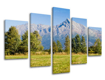 Ζωγραφική τοίχου 5 μέρη ΣΛΟΒΑΚΙΑ SK006E50