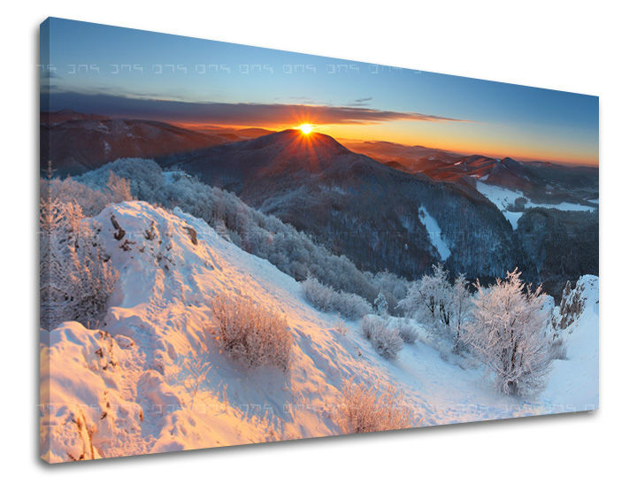 Ζωγραφική τοίχου SLOVAKIA SK007E11