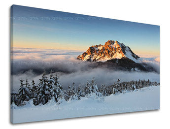 Ζωγραφική τοίχου SLOVAKIA SK008E11