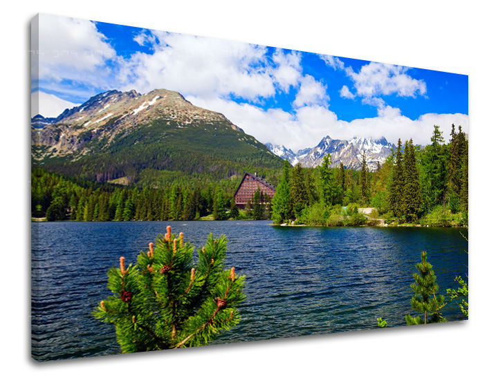 Ζωγραφική τοίχου SLOVAKIA SK014E11