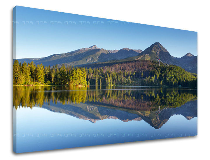 Ζωγραφική τοίχου SLOVAKIA SK017E11