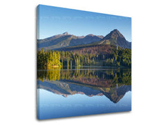 Ζωγραφική τοίχου SLOVAKIA SK017E12