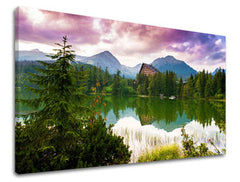 Ζωγραφική τοίχου SLOVAKIA SK028E11