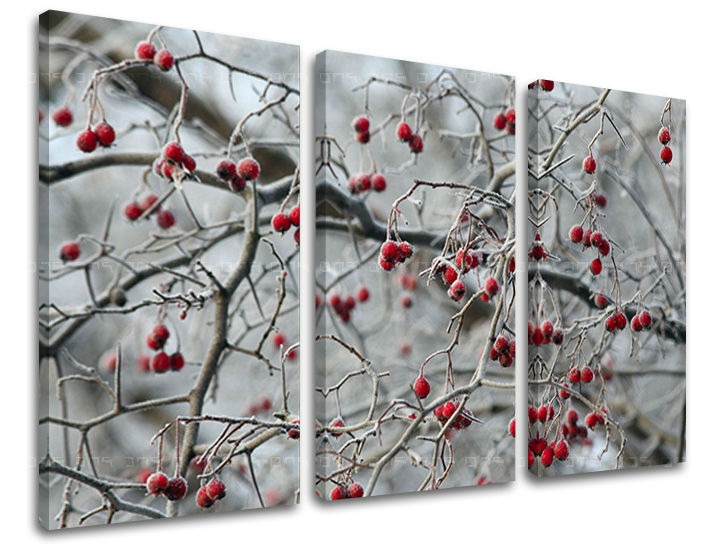 Τοιχογραφία 3 τμημάτων TREES ST006E30