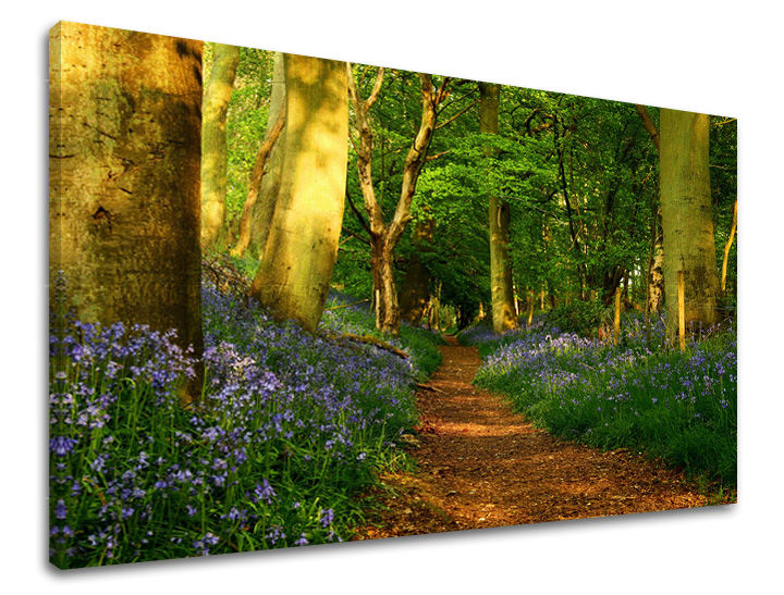 Ζωγραφική τοίχου TREES ST009E11