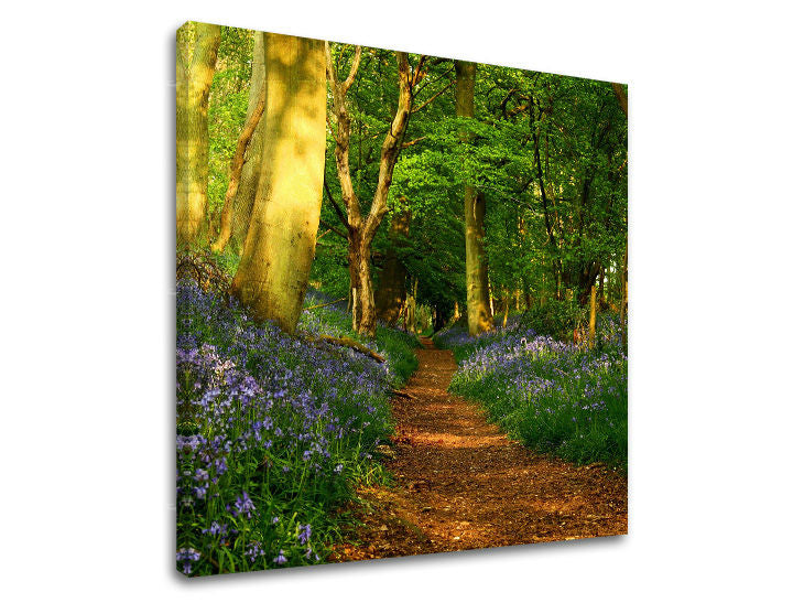 Ζωγραφική τοίχου TREES ST009E12