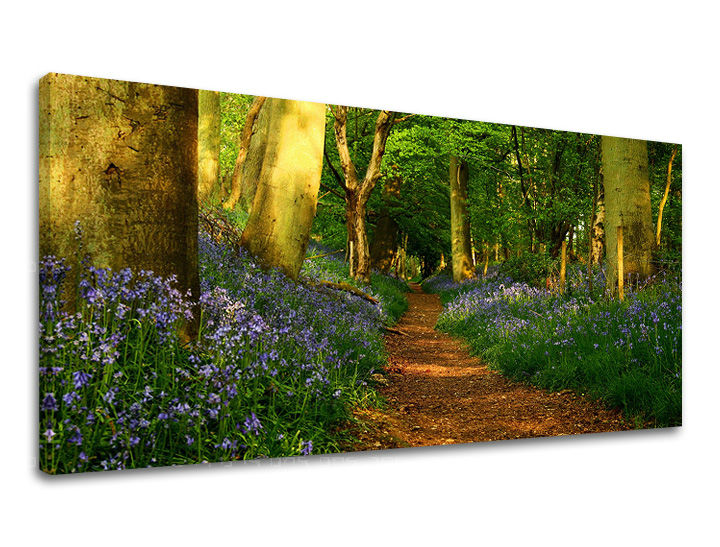 Ζωγραφική τοίχου PANORAMA TREES ST009E13